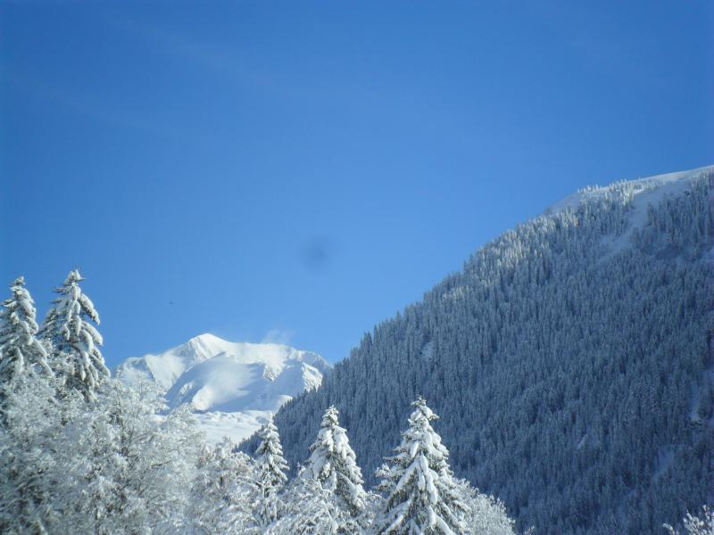 photo 17 Owner direct vacation rental Les Saisies appartement Rhone-Alps Savoie Surroundings