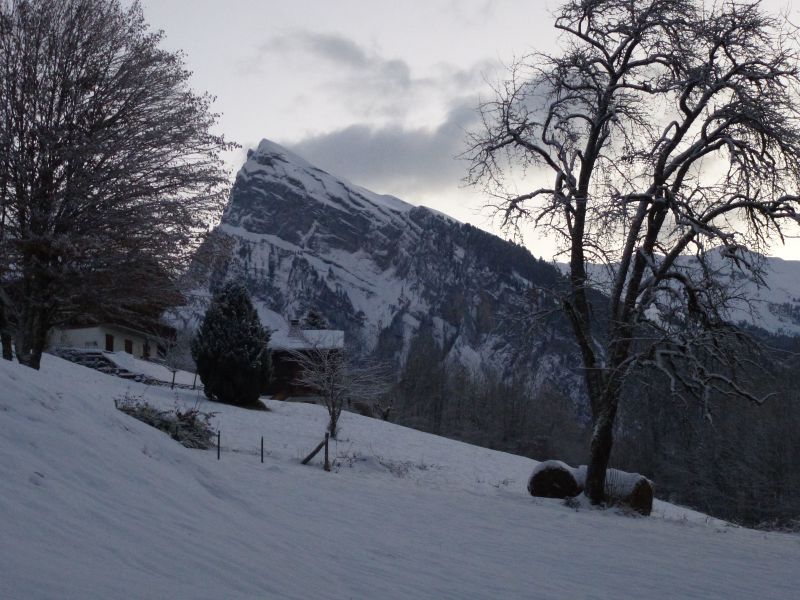 photo 19 Owner direct vacation rental Samons chalet Rhone-Alps Haute-Savoie View from the property