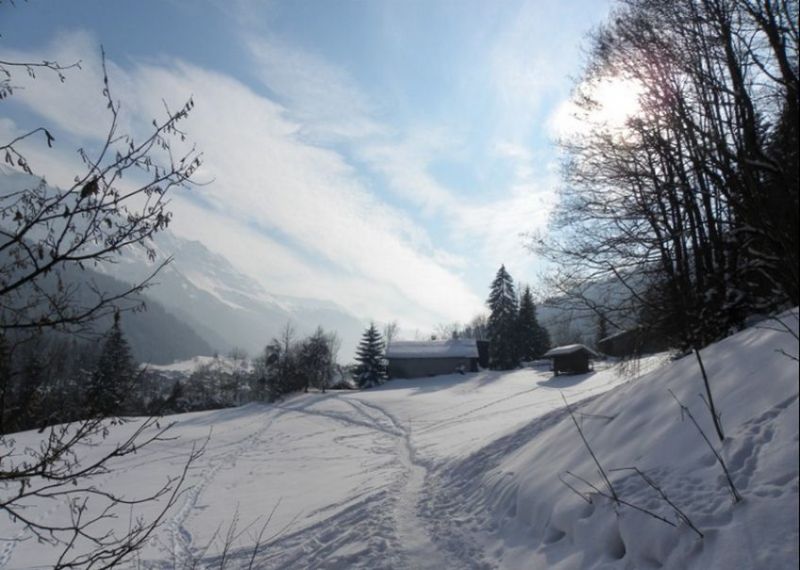 photo 23 Owner direct vacation rental Les Contamines Montjoie chalet Rhone-Alps Haute-Savoie Surroundings
