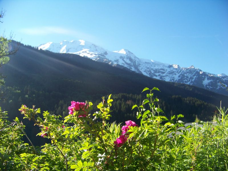 photo 17 Owner direct vacation rental Les Contamines Montjoie chalet Rhone-Alps Haute-Savoie View from the property