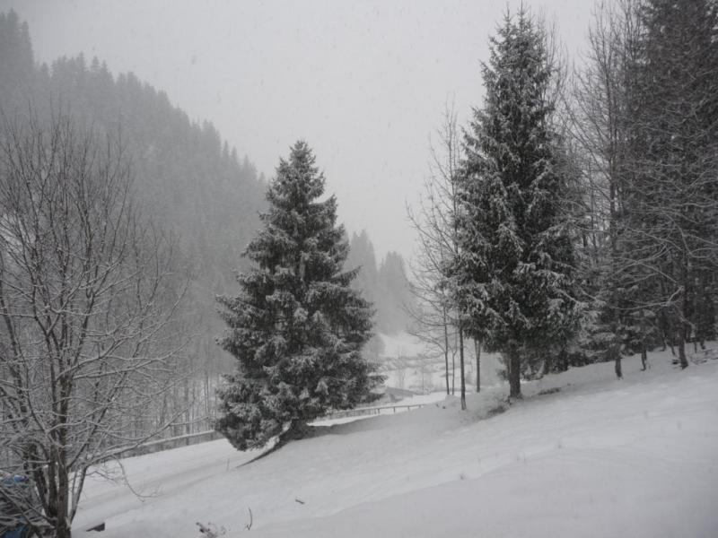 photo 10 Owner direct vacation rental Areches Beaufort studio Rhone-Alps Savoie View from terrace