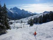 Manigod-Croix Fry/l'tale-Merdassier ski-in ski-out holiday rentals: appartement no. 29716