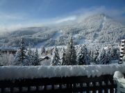 Serre Chevalier mountain and ski rentals: appartement no. 30303