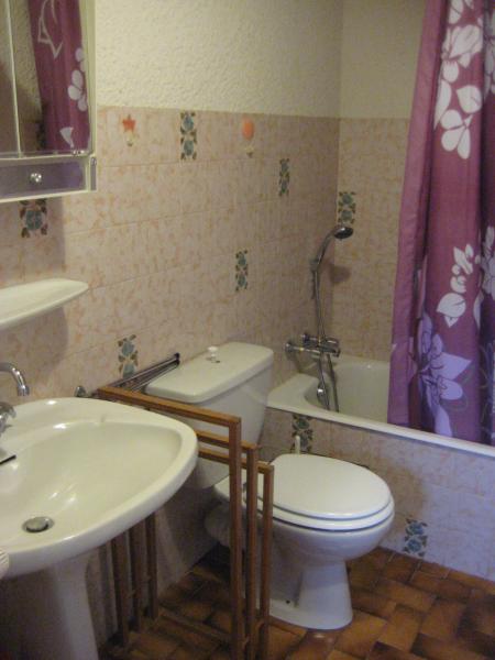 photo 8 Owner direct vacation rental Thollon Les Mmises appartement Rhone-Alps Haute-Savoie bathroom