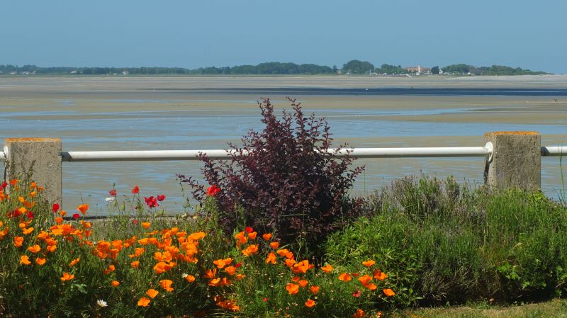 photo 7 Owner direct vacation rental Le Crotoy appartement Picardy Somme View from terrace