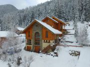 mountain and ski rentals: chalet no. 3291