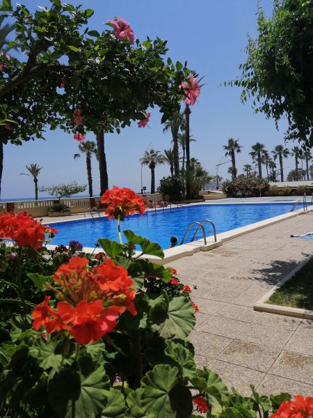 photo 13 Owner direct vacation rental Pescola appartement Valencian Community Castelln (province of) Swimming pool