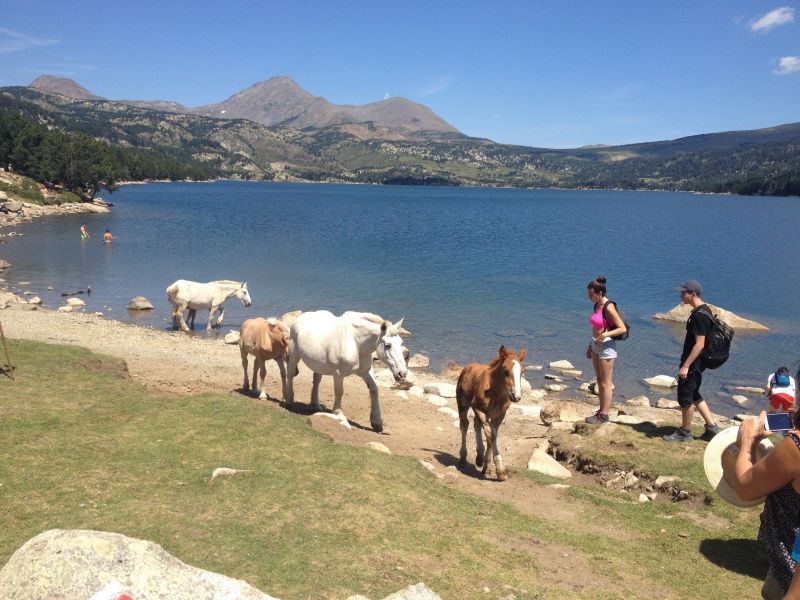 photo 17 Owner direct vacation rental Font Romeu studio Languedoc-Roussillon Pyrnes-Orientales Other view