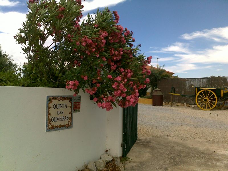 photo 20 Owner direct vacation rental Nisa villa Alentejo  Hall