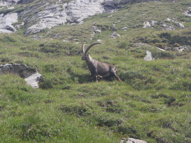 photo 21 Owner direct vacation rental Pralognan la Vanoise appartement Rhone-Alps Savoie Other view