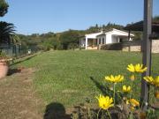Rio Nell'Elba holiday rentals for 5 people: appartement no. 39147
