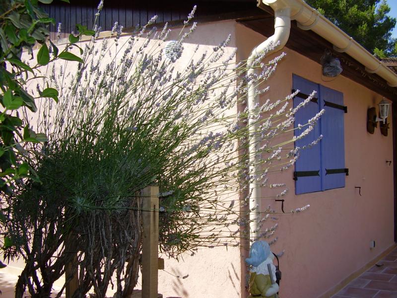 photo 7 Owner direct vacation rental Le Castellet bungalow Provence-Alpes-Cte d'Azur Var Outside view