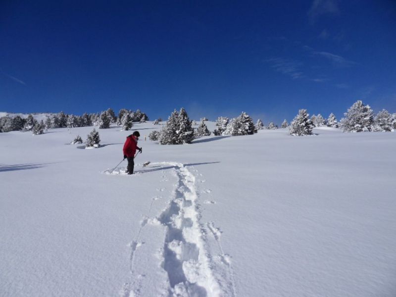 photo 22 Owner direct vacation rental Font Romeu appartement Languedoc-Roussillon Pyrnes-Orientales Surroundings