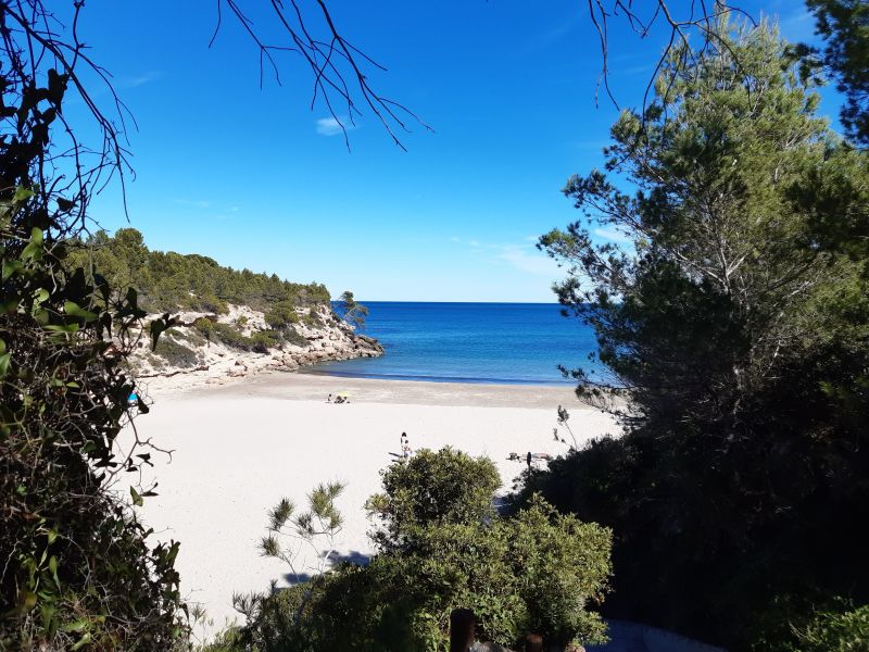 photo 22 Owner direct vacation rental L'Ametlla de Mar villa Catalonia Tarragona (province of) Beach