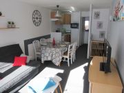 Midi-Pyrnes ski-in ski-out holiday rentals: appartement no. 4329