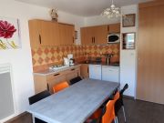 French Pyrenean Mountains holiday rentals for 4 people: appartement no. 4386