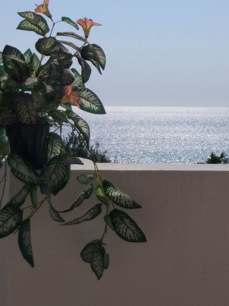 photo 29 Owner direct vacation rental Otranto maison Puglia Lecce Province Surroundings