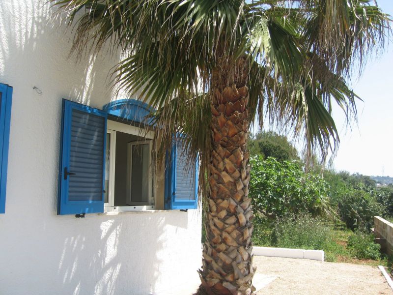 photo 4 Owner direct vacation rental Pescoluse maison Puglia Lecce Province