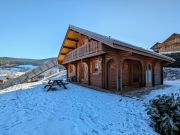 Vosges Mountains holiday rentals for 3 people: chalet no. 4579