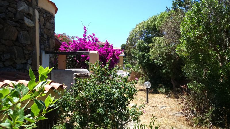 photo 11 Owner direct vacation rental Aranci Gulf villa Sardinia Olbia Tempio Province Garden