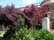 Porto San Paolo holiday rentals: villa no. 45862