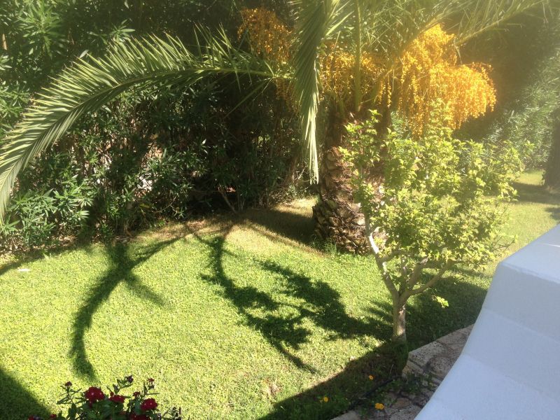 photo 18 Owner direct vacation rental Gallipoli appartement Puglia Lecce Province Garden