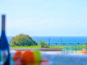 Algarve Coast seaside holiday rentals: appartement no. 46539