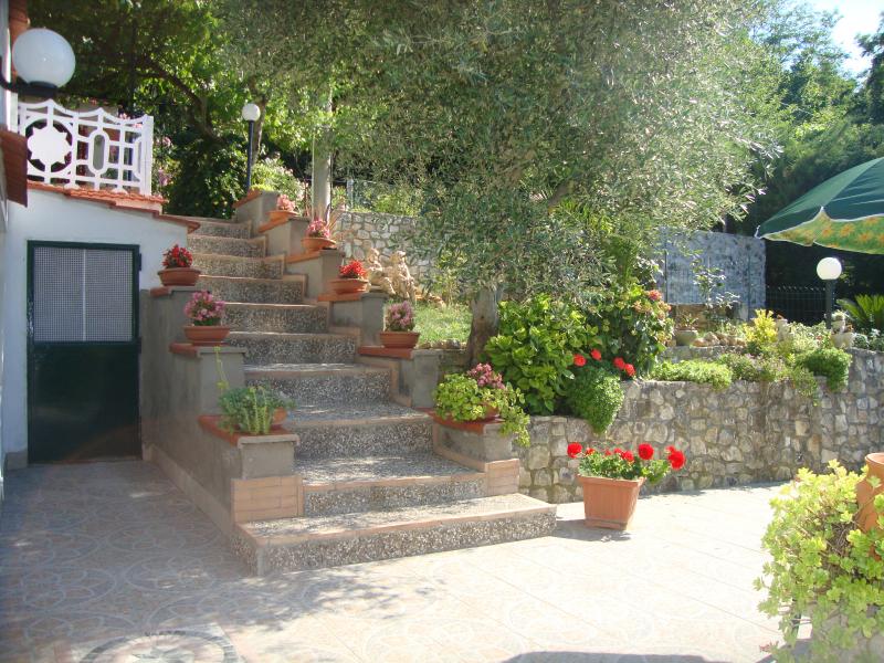 photo 1 Owner direct vacation rental Gargano appartement Puglia Foggia Province Garden