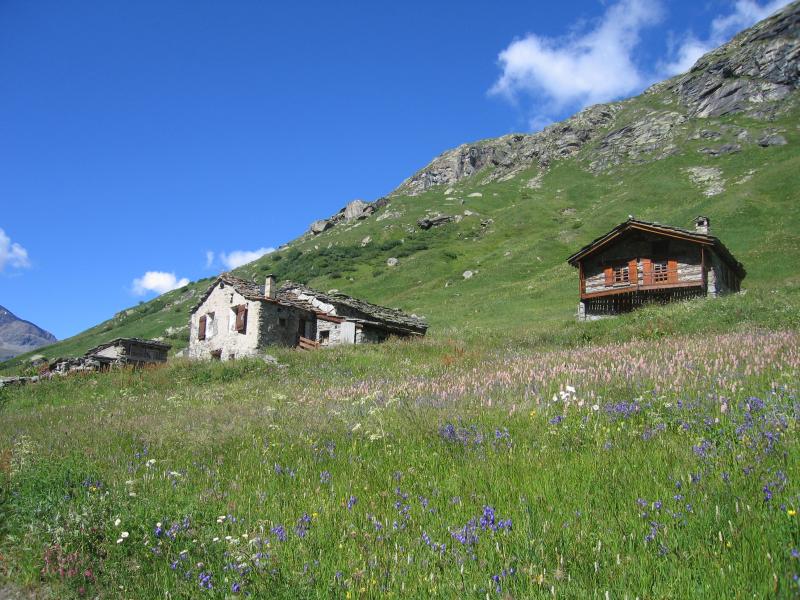 photo 21 Owner direct vacation rental Bonneval sur Arc studio Rhone-Alps Savoie Other view