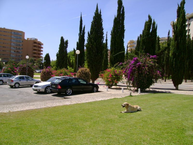 photo 18 Owner direct vacation rental Vilamoura appartement Algarve  Surroundings