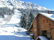 Les 2 Alpes swimming pool holiday rentals: appartement no. 4841