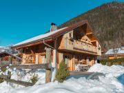 Praz Sur Arly holiday rentals: chalet no. 48749