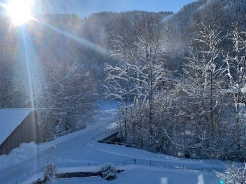 photo 0 Owner direct vacation rental Bernex appartement Rhone-Alps Haute-Savoie View from the property