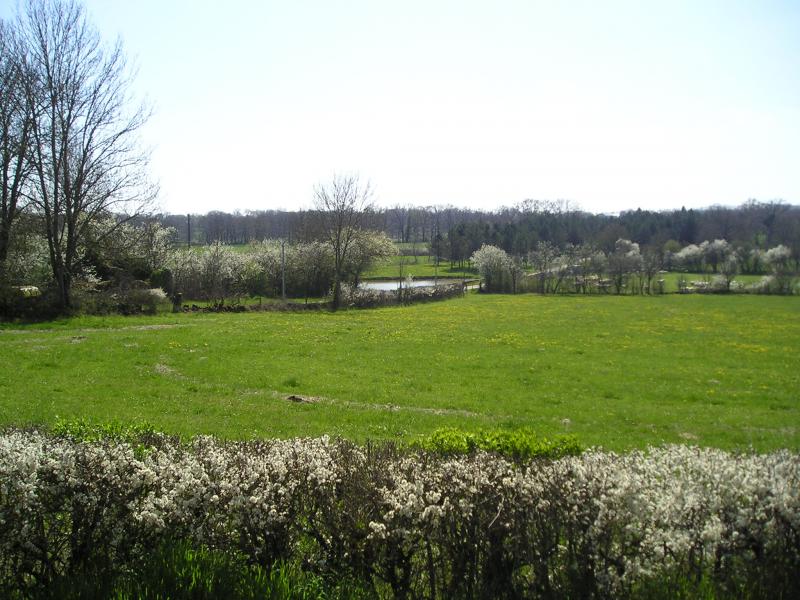 photo 8 Owner direct vacation rental Saint-Cirq-Lapopie maison Midi-Pyrnes Lot View from the property