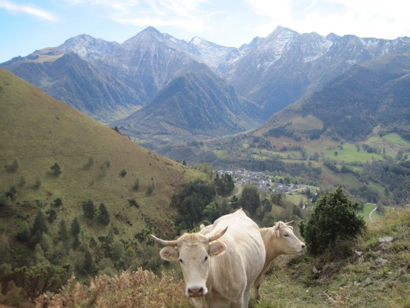 photo 23 Owner direct vacation rental Saint Lary Soulan appartement Midi-Pyrnes Hautes-Pyrnes Surroundings