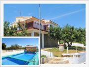 Alcocber beach and seaside rentals: villa no. 51868