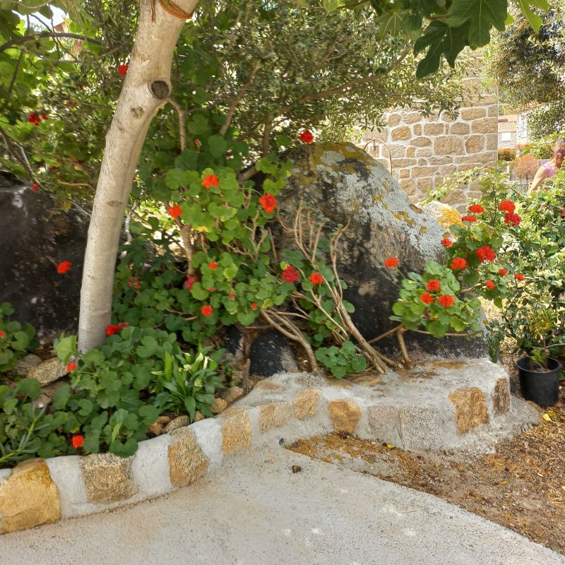 photo 12 Owner direct vacation rental Porto Pollo maison Corsica Corse du Sud Garden