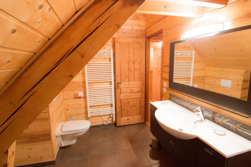 photo 15 Owner direct vacation rental Vaujany appartement Rhone-Alps Isre bathroom 3