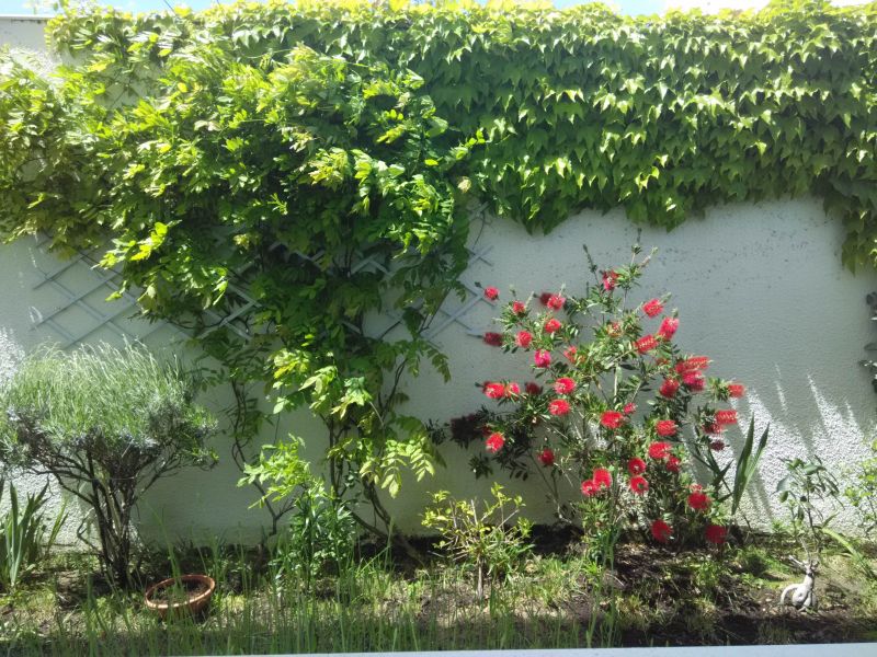 photo 10 Owner direct vacation rental Vieux Boucau appartement Aquitaine Landes Garden