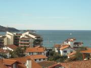 Basque Coast holiday rentals: appartement no. 54924