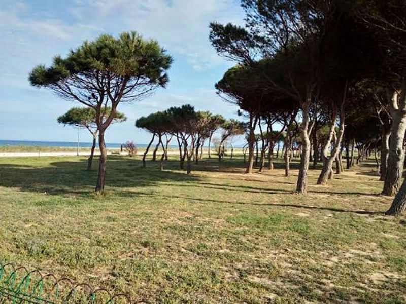 photo 25 Owner direct vacation rental Saint Cyprien Plage studio Languedoc-Roussillon Pyrnes-Orientales Surroundings