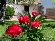 Sicily holiday rentals for 3 people: studio no. 56253