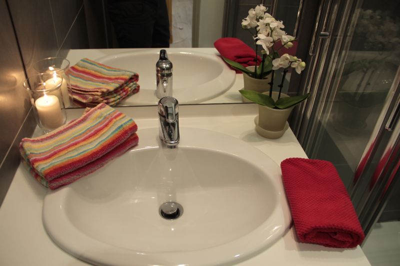 photo 13 Owner direct vacation rental Les 2 Alpes appartement Rhone-Alps Isre Washing facilities 2