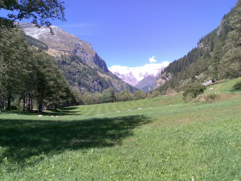 photo 14 Owner direct vacation rental Gressoney Saint Jean appartement Aosta Valley Aosta Province Garden