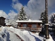 Savoie holiday rentals for 8 people: chalet no. 58837