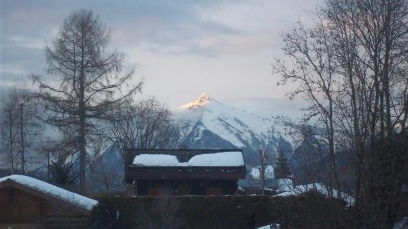 photo 6 Owner direct vacation rental Praz de Lys Sommand studio Rhone-Alps Haute-Savoie View from the balcony