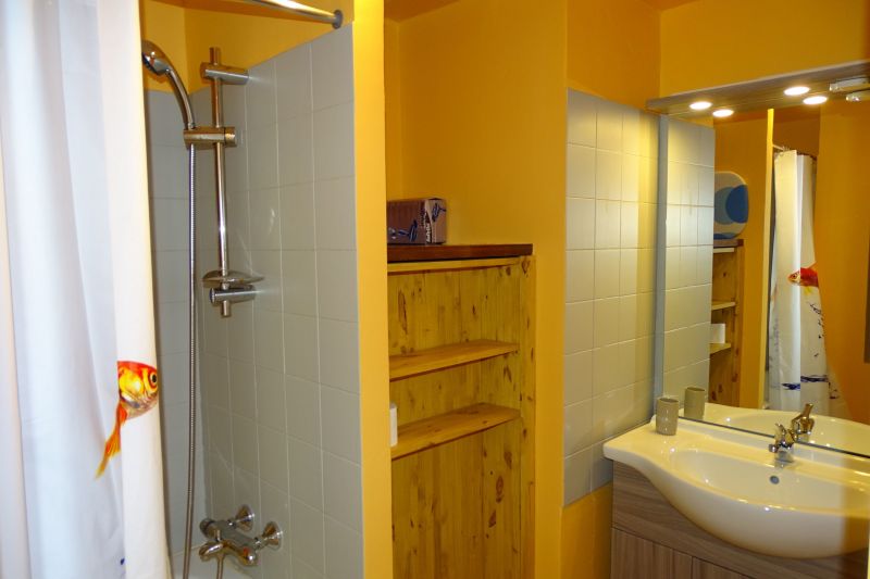 photo 8 Owner direct vacation rental Nvache studio Provence-Alpes-Cte d'Azur Hautes-Alpes bathroom