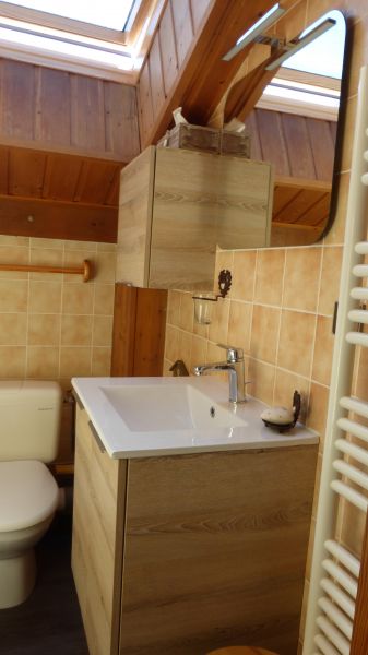 photo 11 Owner direct vacation rental Chtel appartement Rhone-Alps Haute-Savoie bathroom