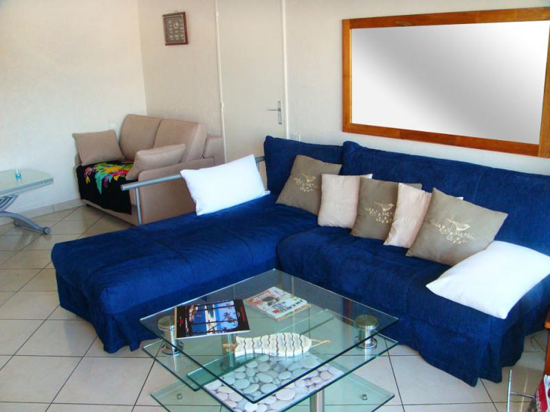 photo 0 Owner direct vacation rental Arcachon appartement Aquitaine Gironde Living room