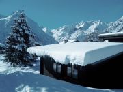 Les 2 Alpes holiday rentals for 11 people: chalet no. 60919